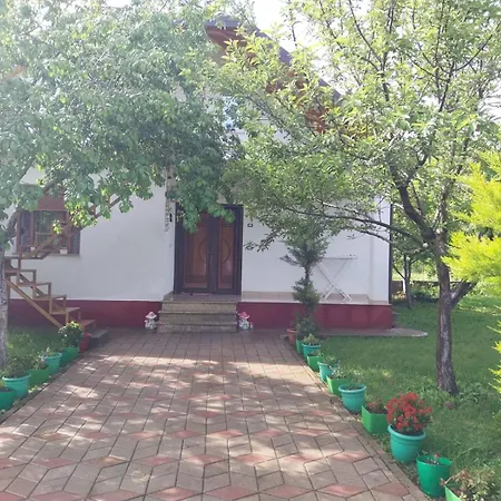 Villa Riza Puke